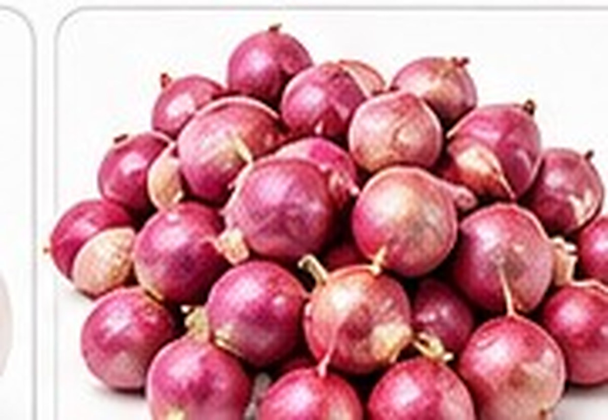 Onion Packing photo